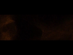 파디오르 회사 관계자